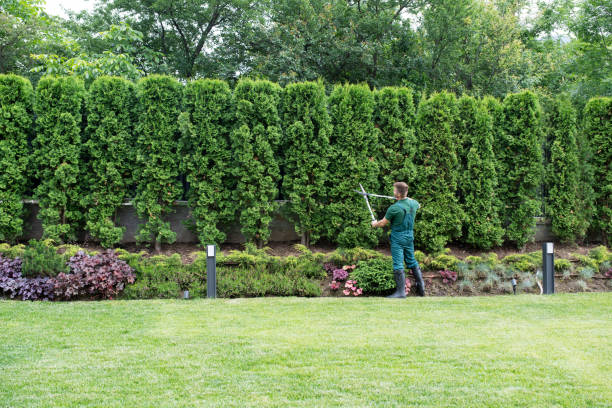 Lawn Irrigation Installation and Maintenance in Port Allegany, PA